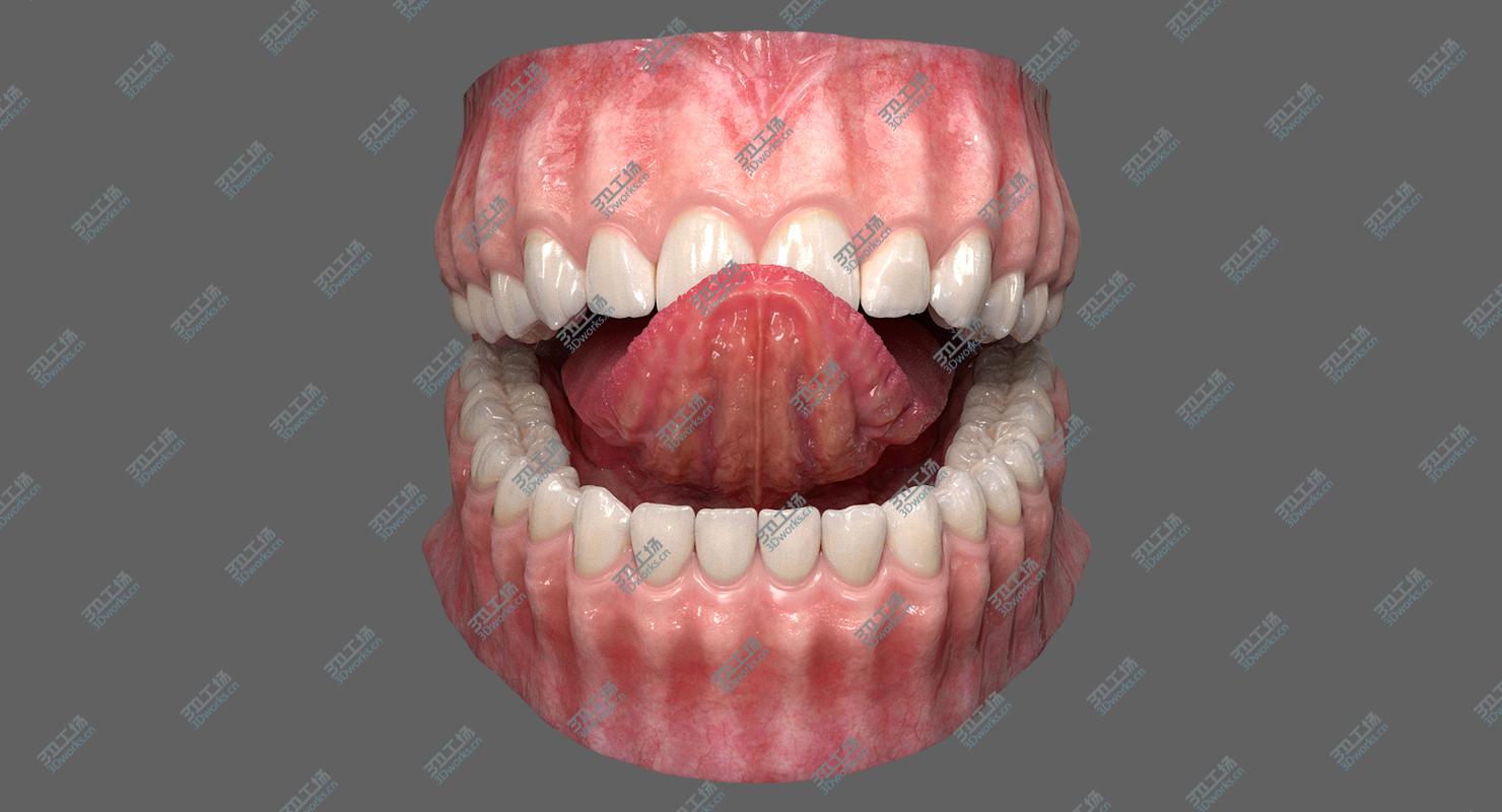 images/goods_img/20210113/Realistic Dental Model With Gums Teeth and Tongue 3D model/4.jpg